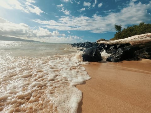 On the beach