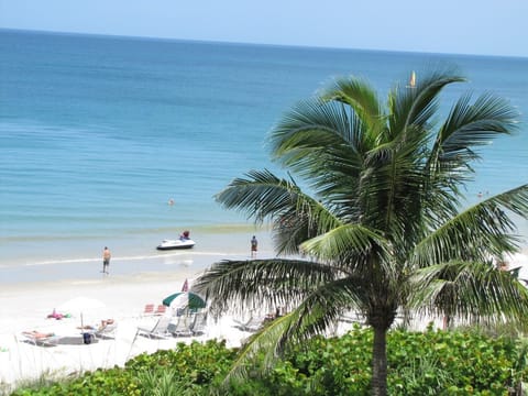 Sun loungers, beach towels