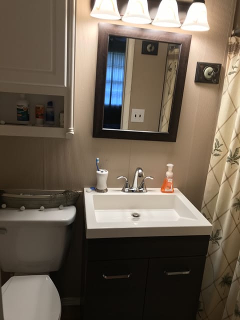 Combined shower/tub, hair dryer, towels, soap