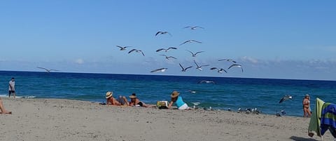 On the beach