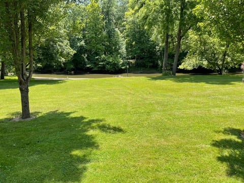 Large Back yard
