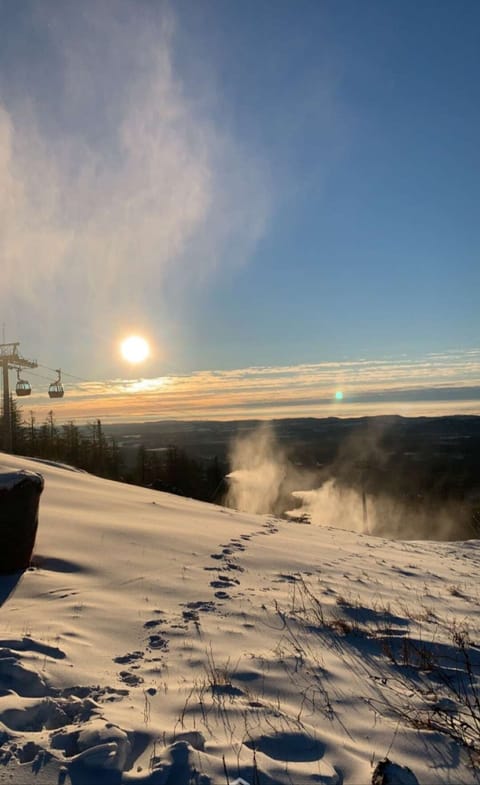 Snow and ski sports