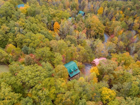Aerial View Of Fall Foliage