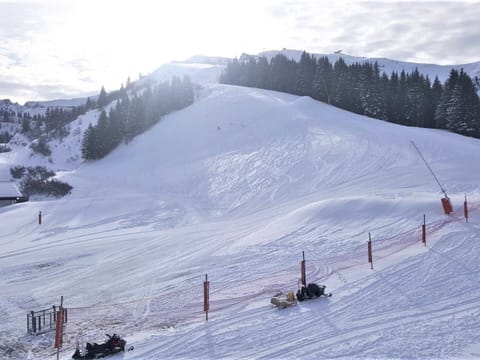 Snow and ski sports