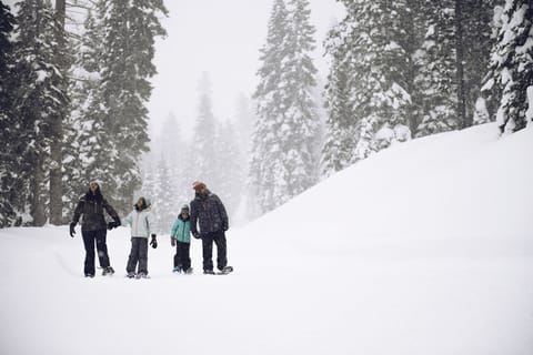 Snow and ski sports