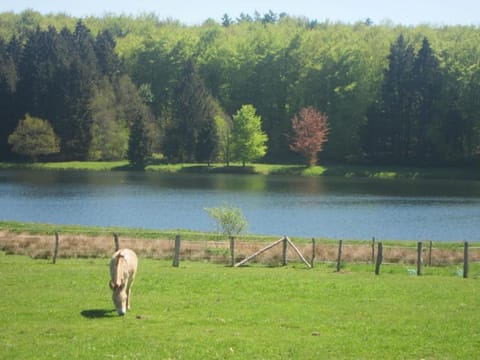 Region [summer] (>5 km)