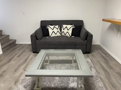 Pull out couch and seating area in living room