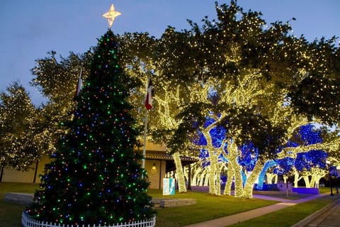 Christmas Light magic!