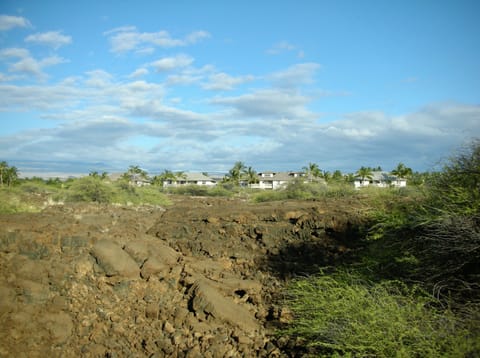 Trail through Nature Preserve adjacent to the Palm Villas