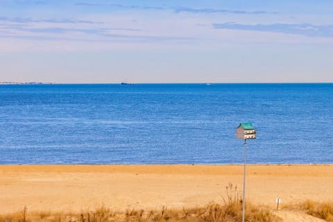 On the beach, sun loungers, beach towels