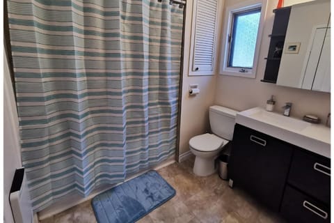 Combined shower/tub, hair dryer, towels, soap