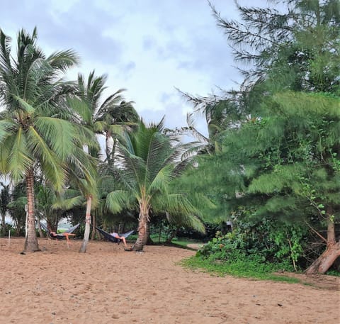 Beach nearby, beach towels