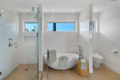 Combined shower/tub, hair dryer, towels