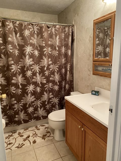 Combined shower/tub, hair dryer, towels, soap