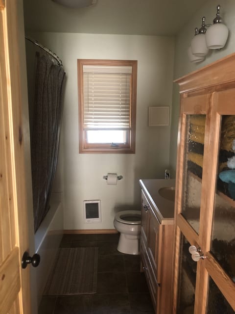 Combined shower/tub, hair dryer, towels, soap