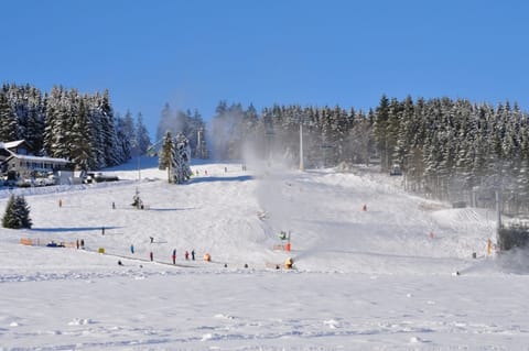 Snow and ski sports