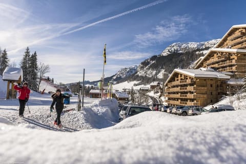 Snow and ski sports