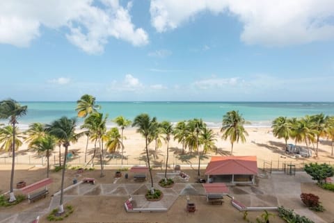 On the beach, sun loungers, beach towels