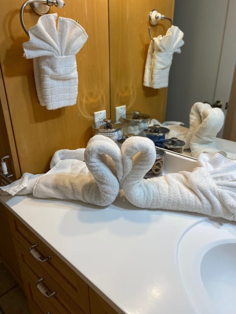 Combined shower/tub, hair dryer, towels, soap