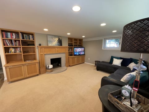 Smart TV, fireplace, DVD player, books