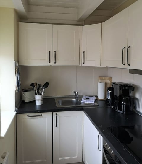 Fridge, oven, dishwasher, coffee/tea maker