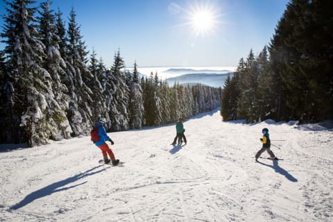 Snow and ski sports