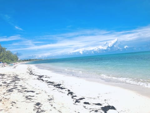 Sun loungers, beach towels