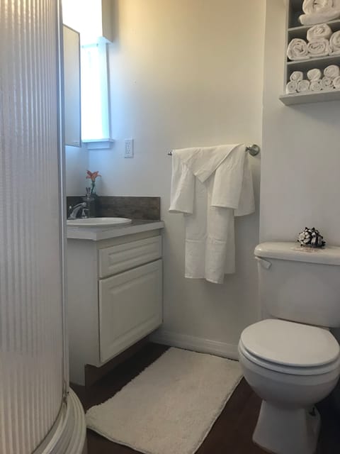 Combined shower/tub, hair dryer, towels, soap