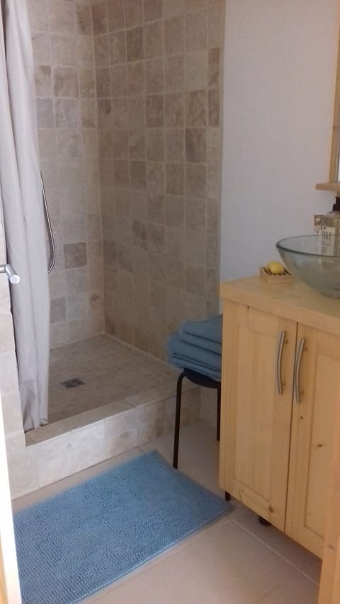 Shower, jetted tub, hair dryer, towels