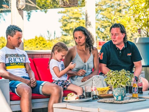 Orange, Yellow, Tree, Leisure, Recreation