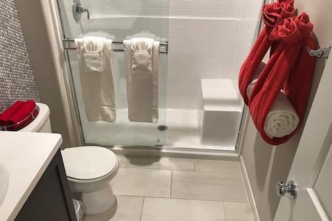 Shower, hair dryer, soap, toilet paper
