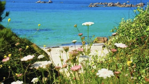 On the beach, sun loungers