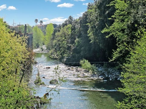 Furniture, Comfort, Wood, Bed, Lighting, Shade, Window, Floor, Flooring