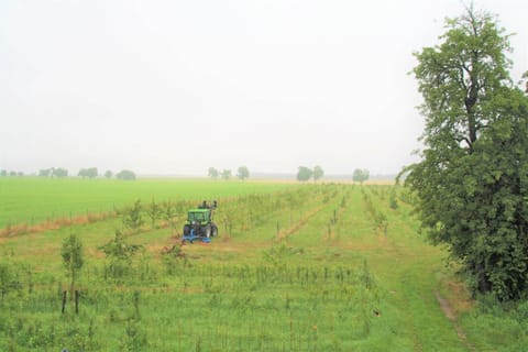 Immediate Surroundings [summer] (&lt;1 km)