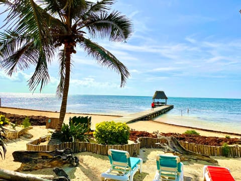 On the beach, sun loungers, beach towels