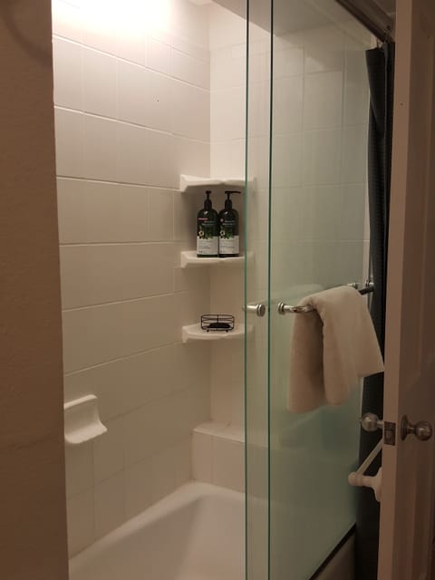 Combined shower/tub, soap, toilet paper