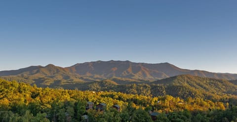 Priceless views of The Great Smoky Mountains!