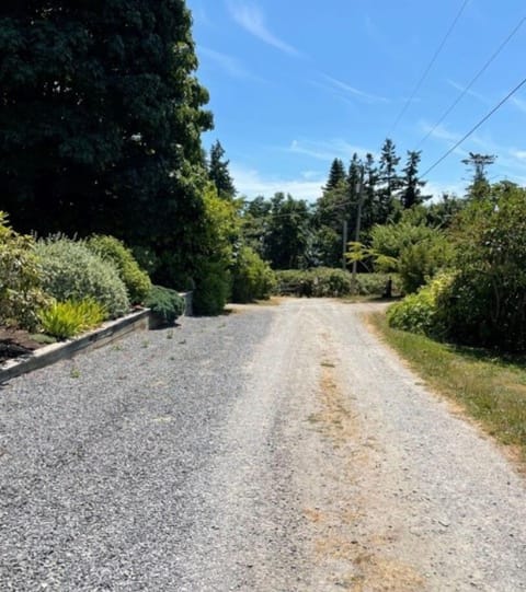 Walking road to the beach