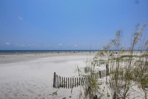 On the beach