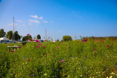 Terryglass, County Tipperary