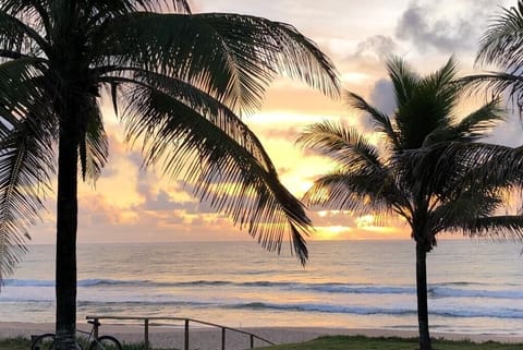 Beach nearby, sun loungers