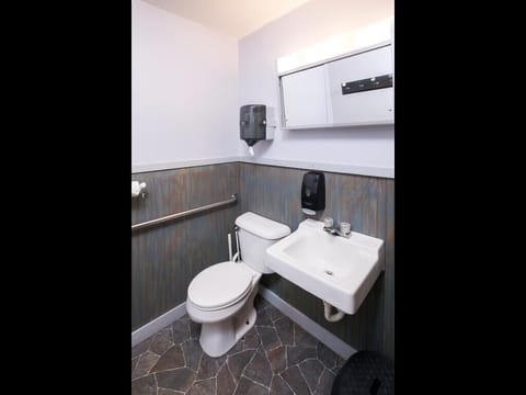 Combined shower/tub, jetted tub, hair dryer, towels