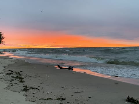 Beach | On the beach