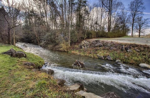 View of the creek from the patio or master bedroom. Sounds of birds and water!