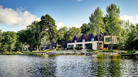 Widgeon and It's Nest