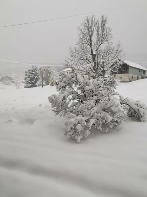 Chalet cosi 2 to 4 persons located in front of the ski slopes and close to the lake House in Xonrupt-Longemer