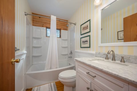 Combined shower/tub, hair dryer, towels, toilet paper