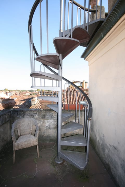 . . . And up to the top, if you dare