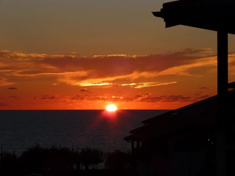 Beach/ocean view