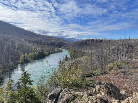 Cabin is close to hiking and fishing, such as the Kenai River Canyon trail